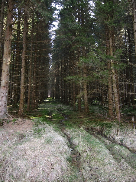 Fotogalerie Z Blatensk