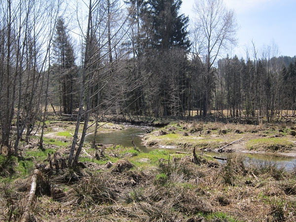 Fotogalerie Z Blatensk
