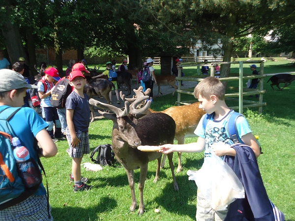 Fotogalerie Z Blatensk