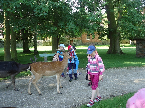 Fotogalerie Z Blatensk