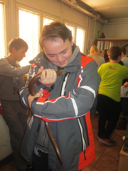 Fotogalerie Z Blatensk