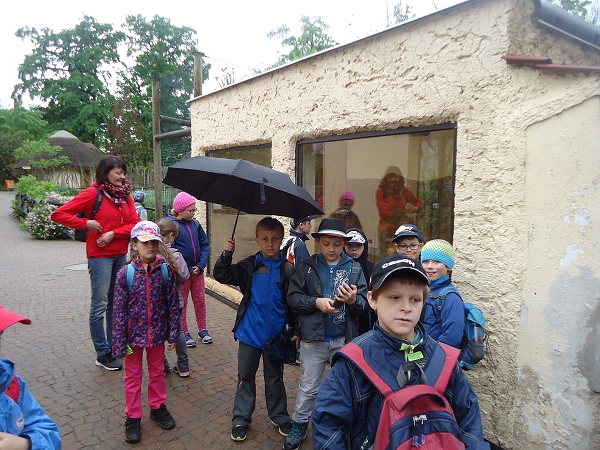 Fotogalerie Z Blatensk