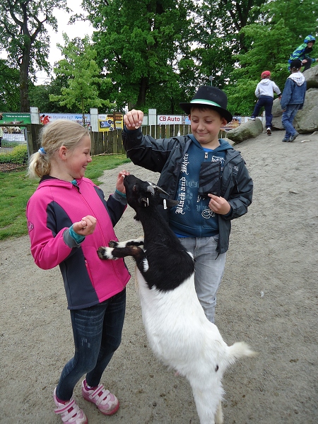 Fotogalerie Z Blatensk