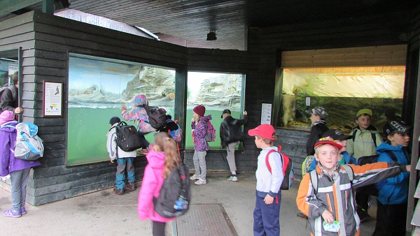 Fotogalerie Z Blatensk