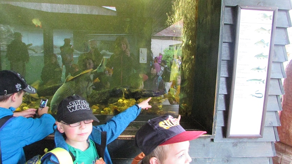 Fotogalerie Z Blatensk
