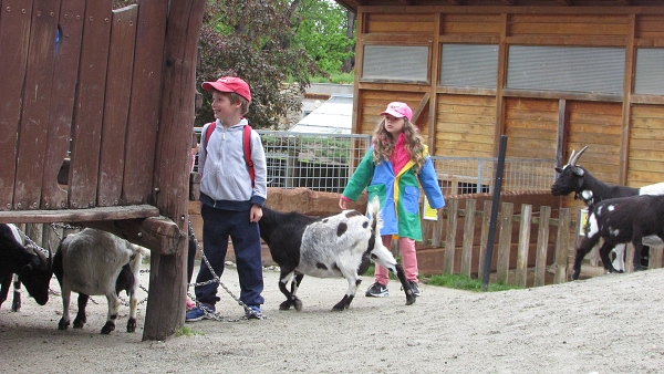 Fotogalerie Z Blatensk