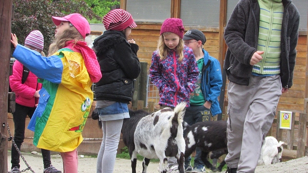 Fotogalerie Z Blatensk