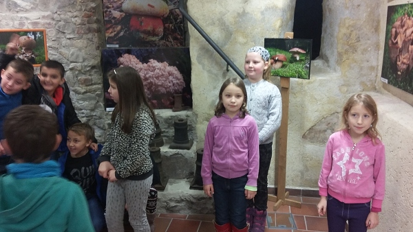 Fotogalerie Z Blatensk