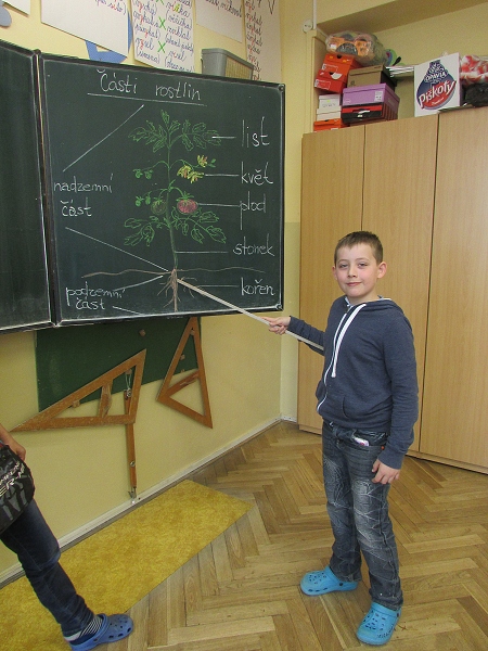 Fotogalerie Z Blatensk