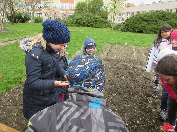 Fotogalerie Z Blatensk