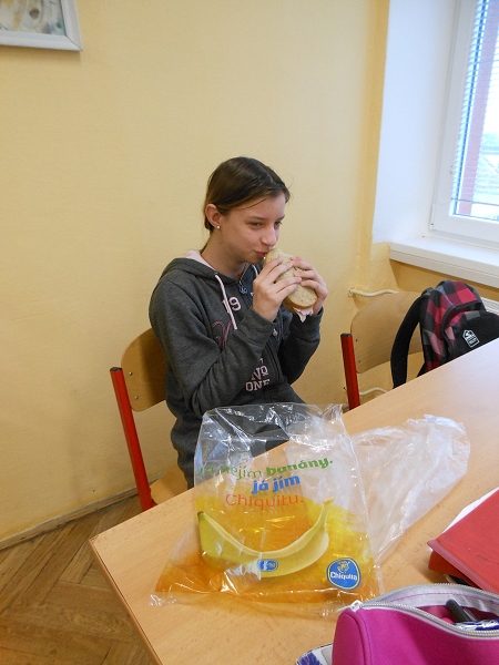 Fotogalerie Z Blatensk