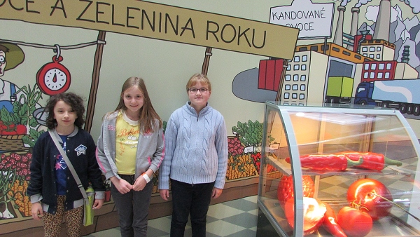 Fotogalerie Z Blatensk