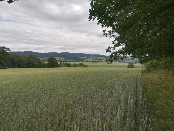 Fotogalerie Z Blatensk
