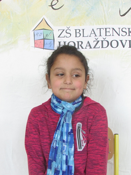 Fotogalerie Z Blatensk