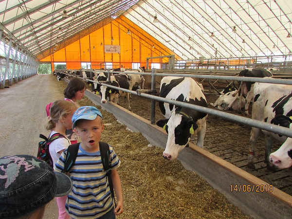 Fotogalerie Z Blatensk