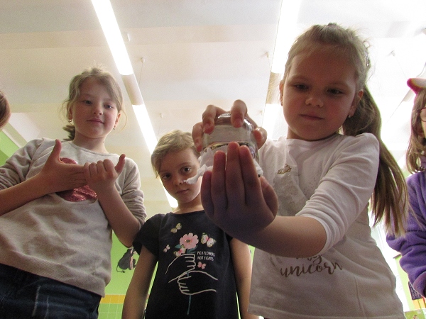 Fotogalerie Z Blatensk