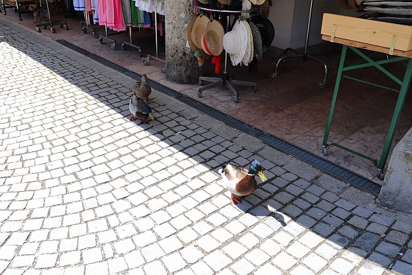 Fotogalerie Z Blatensk