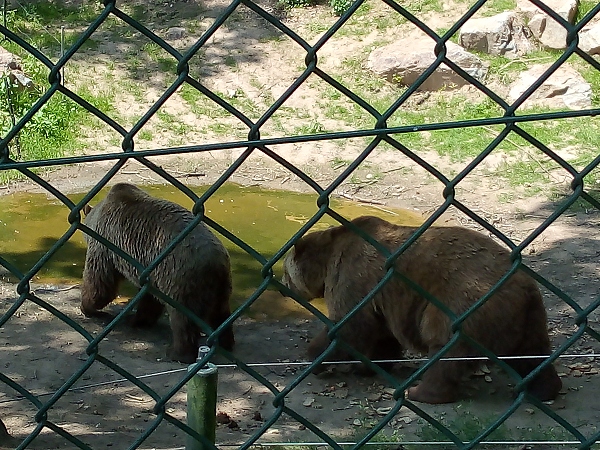 Fotogalerie Z Blatensk
