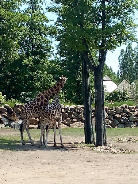 Fotogalerie Z Blatensk