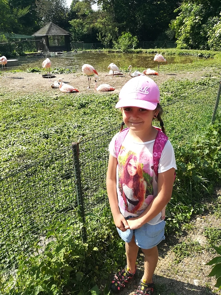 Fotogalerie Z Blatensk
