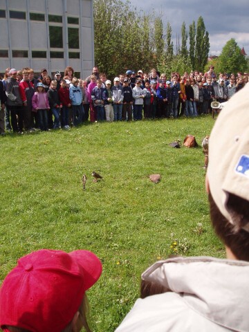 Fotogalerie ZŠ Blatenská