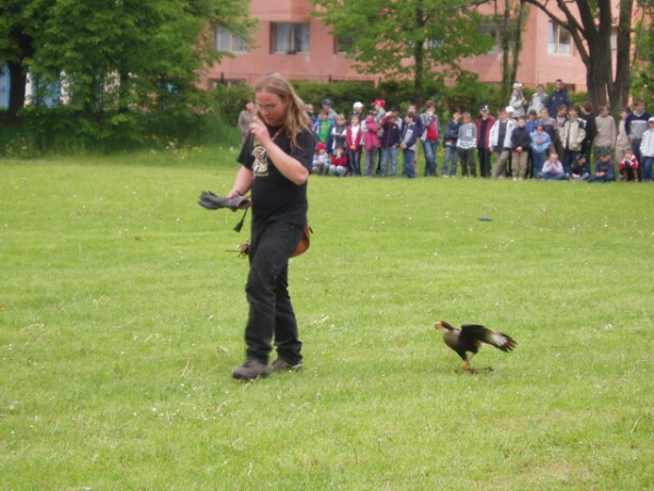 Fotogalerie ZŠ Blatenská