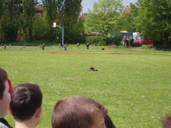 Fotogalerie ZŠ Blatenská